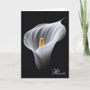 Buscar lirio de paz tarjetas Flor