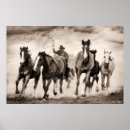 Buscar desiertos posters Suroeste