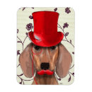 Buscar dachshund imanes Contemporáneo