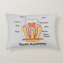 Buscar anatomía cojines Salud