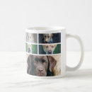 Buscar perros y gatos divertidos tazas Para todos