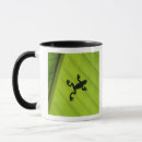 Buscar reptil tazas Cáscaras