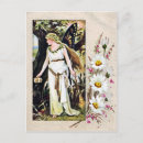 Buscar mariposas vintage postales Ilustracion