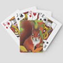 Buscar ardillas barajas de cartas Vida silvestre
