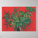 Buscar ceniza posters Árbol de cenizas