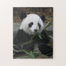 Buscar pesadilla puzzles Vacaciones