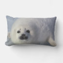 Buscar arpa cojines Sello de arpa