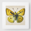 Buscar butterfly relojes de pared Nature