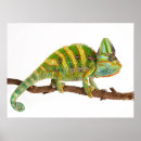 Buscar camaleón arte Reptiles
