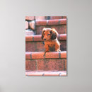 Buscar miniatura lienzos Vertical