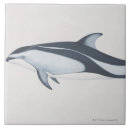 Buscar delfín azulejos Ballena