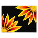 Buscar gazania posters Jardín