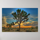 Buscar desierto de mojave posters Árbol