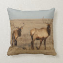 Buscar alces cojines Alces del toro