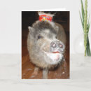 Buscar cerdo feliz tarjetas General y unisex