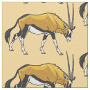 Buscar gemsbok Fauna