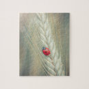 Buscar de la mariquita puzzles Para todos