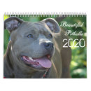 Buscar pitbull calendarios Animal