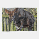 Buscar parque zoológico fotografía Fauna