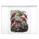 Buscar del loro calendarios Pájaro