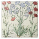 Buscar claveles azulejos Botánico
