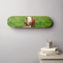 Buscar leche tablas de skate Vaca