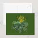 Buscar arbusto postales Verde