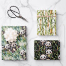 Buscar bambú papel de regalo Panda