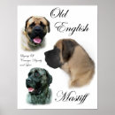 Buscar mastines posters Perros