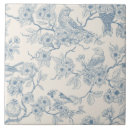 Buscar pájaro azul azulejos Aves