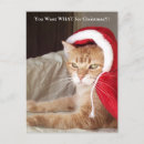 Buscar chistosa tarjetas de navidad Felino