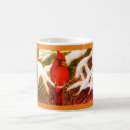 Buscar alimentador tazas Animal