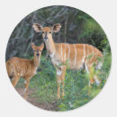 Buscar diferencial pegatinas Imagen de color