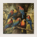 Buscar loros puzzles Colorido