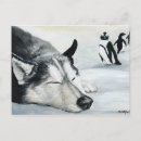 Buscar dog postales Canina