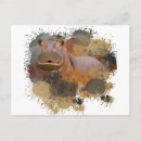 Buscar hippo postales General y unisex