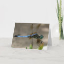 Buscar libélula azul Tarjeta