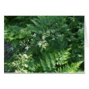 Buscar fertilizante Plantas