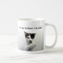 Buscar lolcat Lindo
