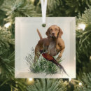 Buscar húngaro adornos Vizsla húngara