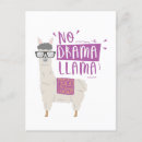 Buscar bolivia tarjetas Alpaca