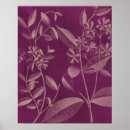 Buscar radiante posters Orquídea