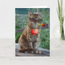 Buscar luv tarjetas Corazón