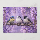 Buscar pájaros y flores postales General y unisex