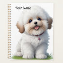 Buscar tzu Shih