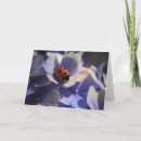 Buscar mariquita tarjetas Floral