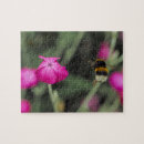 Buscar abejas fotografía General y unisex