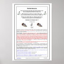 Buscar samaritano posters Cristiano