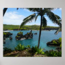 Buscar de arena posters Hawaii