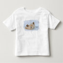 Buscar ursus maritimus Tundra